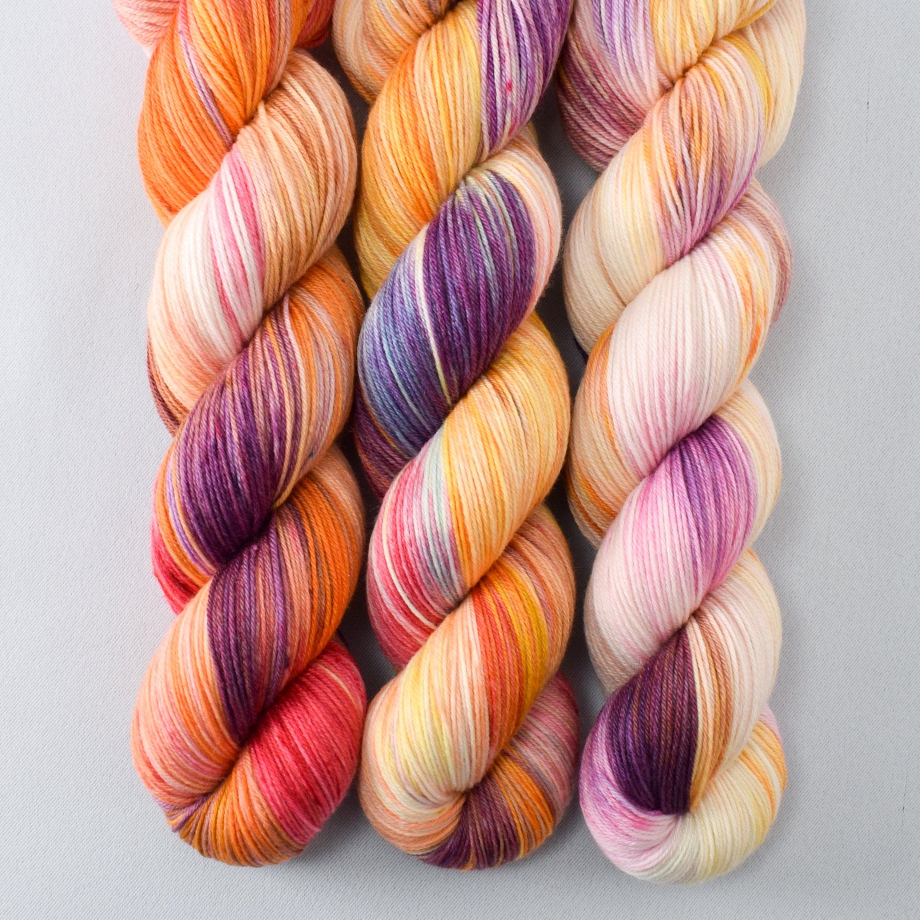 Daisies - Miss Babs Tarte wool blend sock yarn