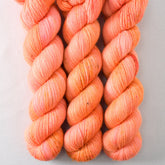 Dancing Spirit - Miss Babs Katahdin 437 superwash BFL wool yarn