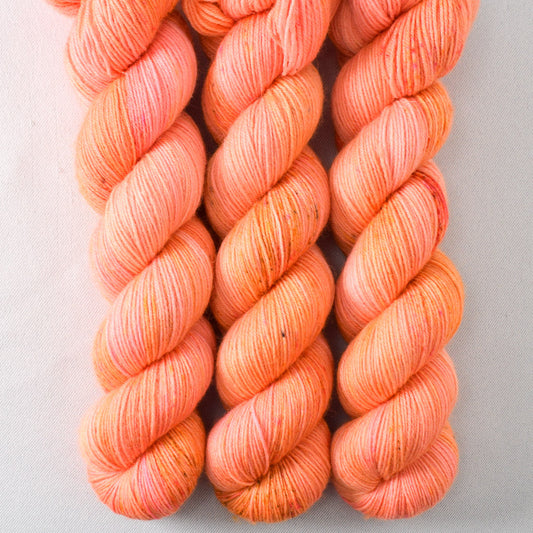Dancing Spirit - Miss Babs Katahdin 437 superwash BFL wool yarn