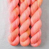 Dancing Spirit - Miss Babs Tarte wool blend sock yarn