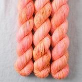 Dancing Spirit - Miss Babs Yowza Mini superwash Merino wool yarn