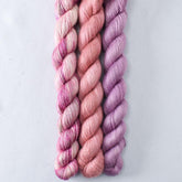 Dark Adobe, Gibson Girl, Fig - Miss Babs Sojourn Trio