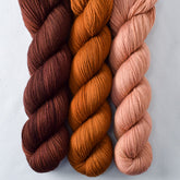 Dark Adobe, Molasses, Roasted Pumpkin - Miss Babs Yummy 2-Ply Trio
