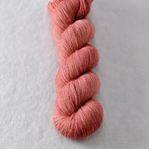 Dark Adobe - Miss Babs Katahdin 437 superwash BFL wool yarn