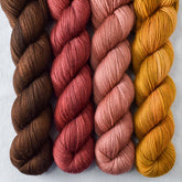 Dark Chocolate, Old Gold, Chimayo, Sumach - Miss Babs Yummy 2-Ply Quartet