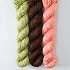 Dark Chocolate, Snakehead, Wild Tulip - Yowza Mini Trio