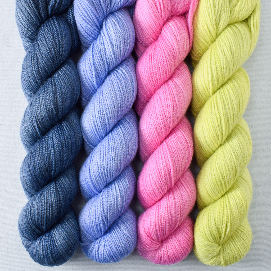 Denim, Ginkgo, Magic Elixir, Ruchbah - Miss Babs Caroline Quartet
