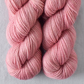 Desert Rose - Miss Babs Yummy 2-Ply Toes superwash Merino wool yarn