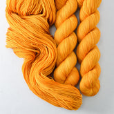 Desert Senna - Miss Babs Yummy 2-Ply superwash Merino wool yarn