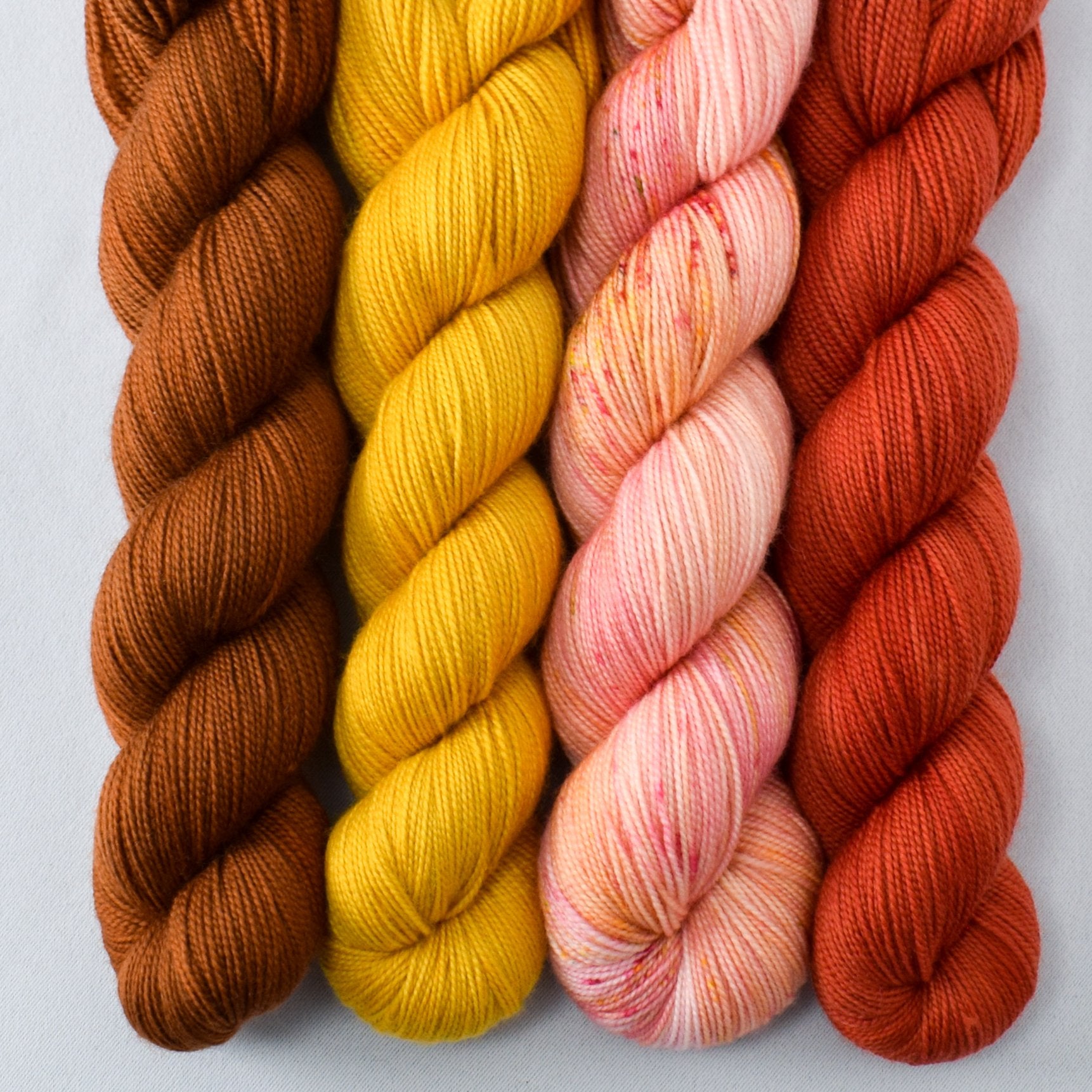 Devoted Idea, Goldenrod, Roasted Pumpkin, Sugar Maple 2 - Miss Babs Yummy 2-Ply Quartet