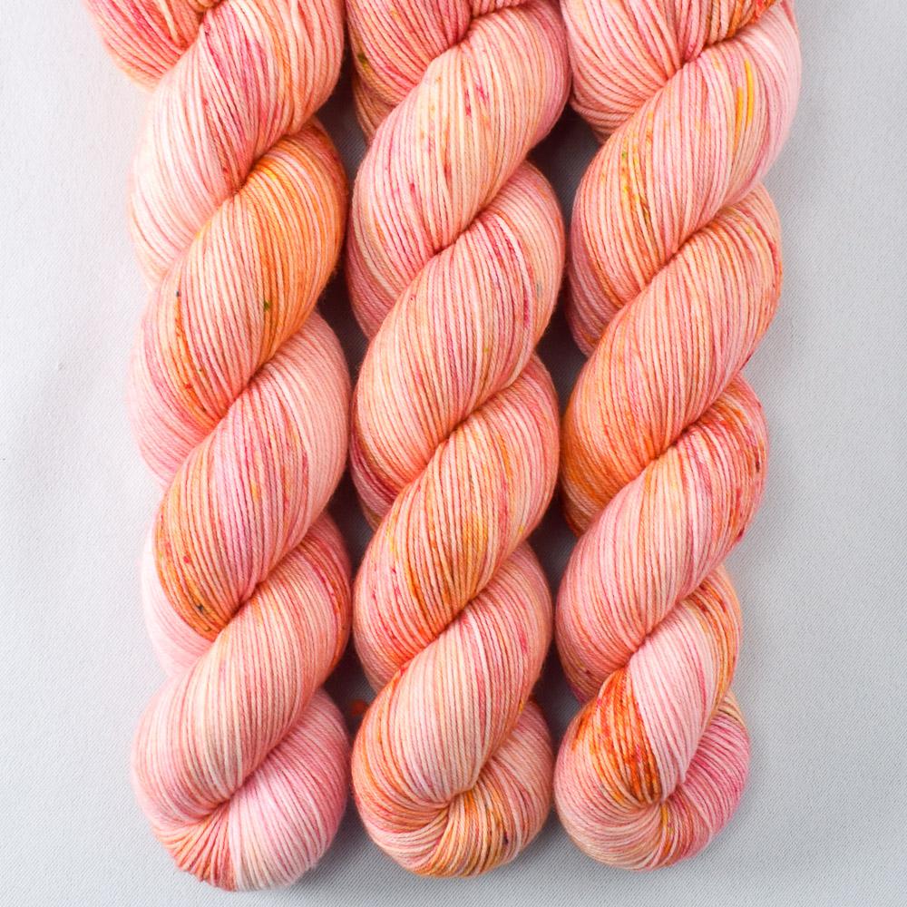 Devoted Idea - Miss Babs Putnam Merino wool and nylon sock yarn