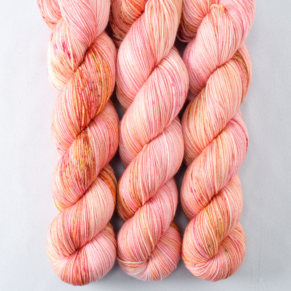 Devoted Idea - Miss Babs Tarte wool blend sock yarn