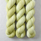 Dewdrop - Miss Babs Yummy 2-Ply superwash Merino wool yarn