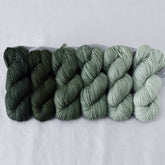 Draco - Gradient Set