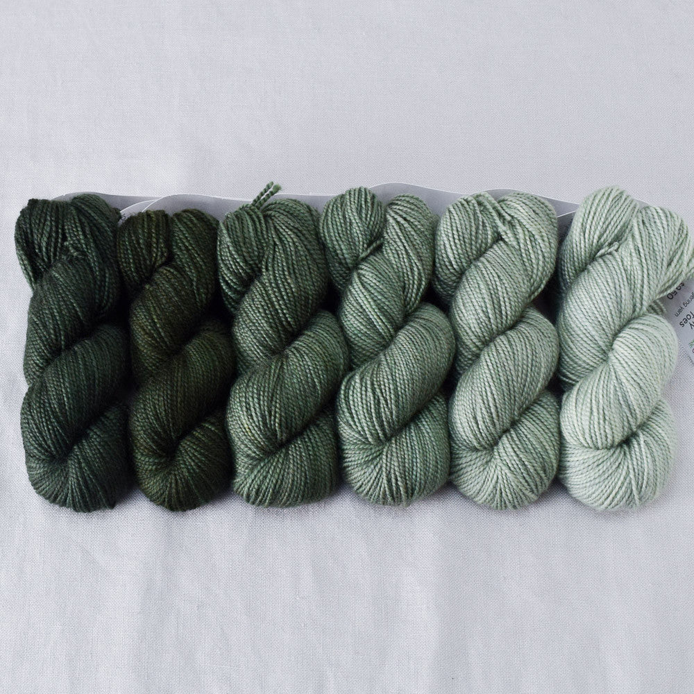 Draco - Gradient Set