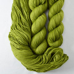 Dragon Claw - Laurel Falls