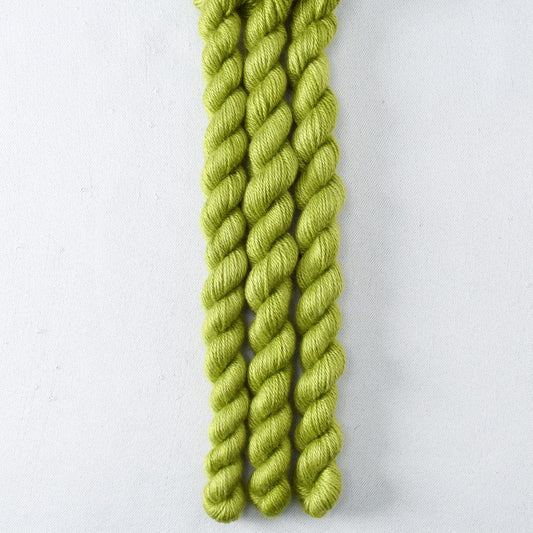 Dragon Claw Partial Skeins - Miss Babs Sojourn yarn