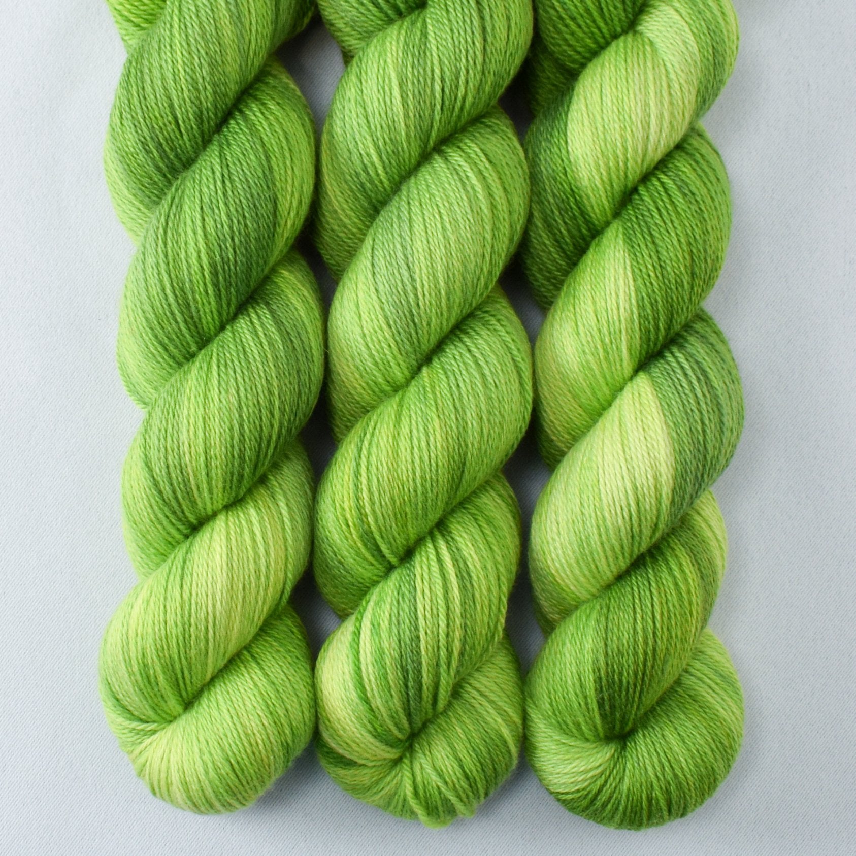 Dragon's Flight - Miss Babs Caroline merino-cashmere-nylon yarn