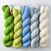 Dragon's Flight, Heading Home, Frosting, Faded, White Peppercorn - Miss Babs Aurora Cabin Shawl Set