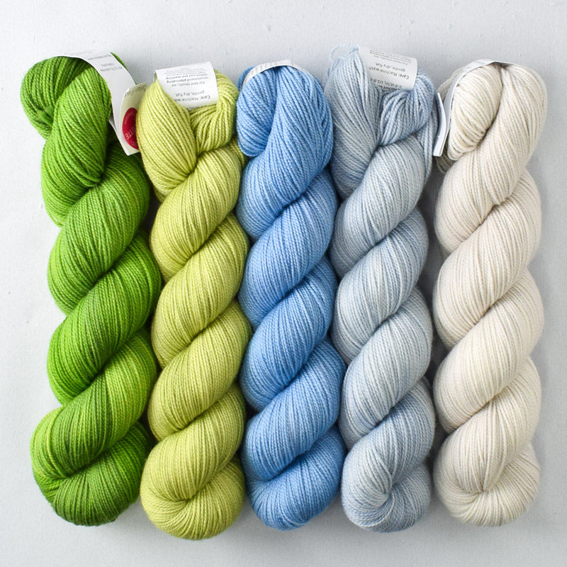 Dragon's Flight, Heading Home, Frosting, Faded, White Peppercorn - Miss Babs Aurora Cabin Shawl Set