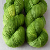 Dragon's Flight - Miss Babs Katahdin yarn