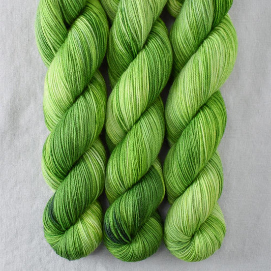 Dragons Flight - Miss Babs Putnam yarn