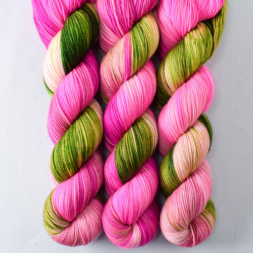 Drunken Watermelon - Yummy 2-Ply - Babette