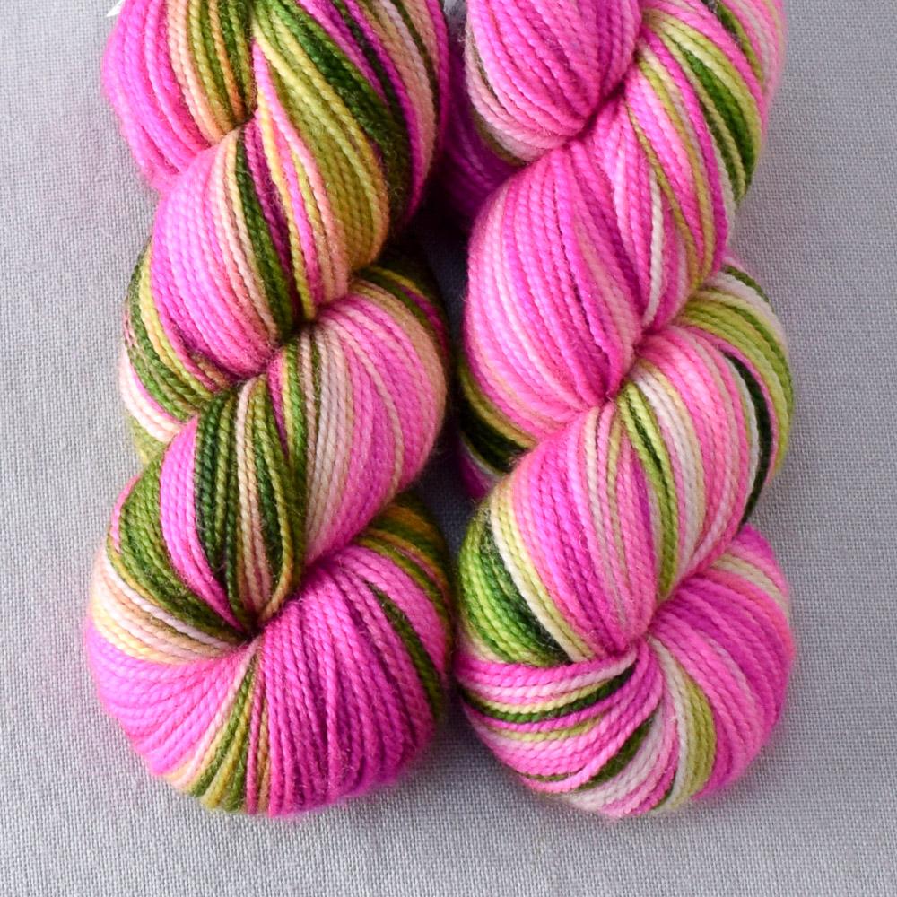 Drunken Watermelon - Miss Babs Yummy 2-Ply Toes superwash Merino wool yarn