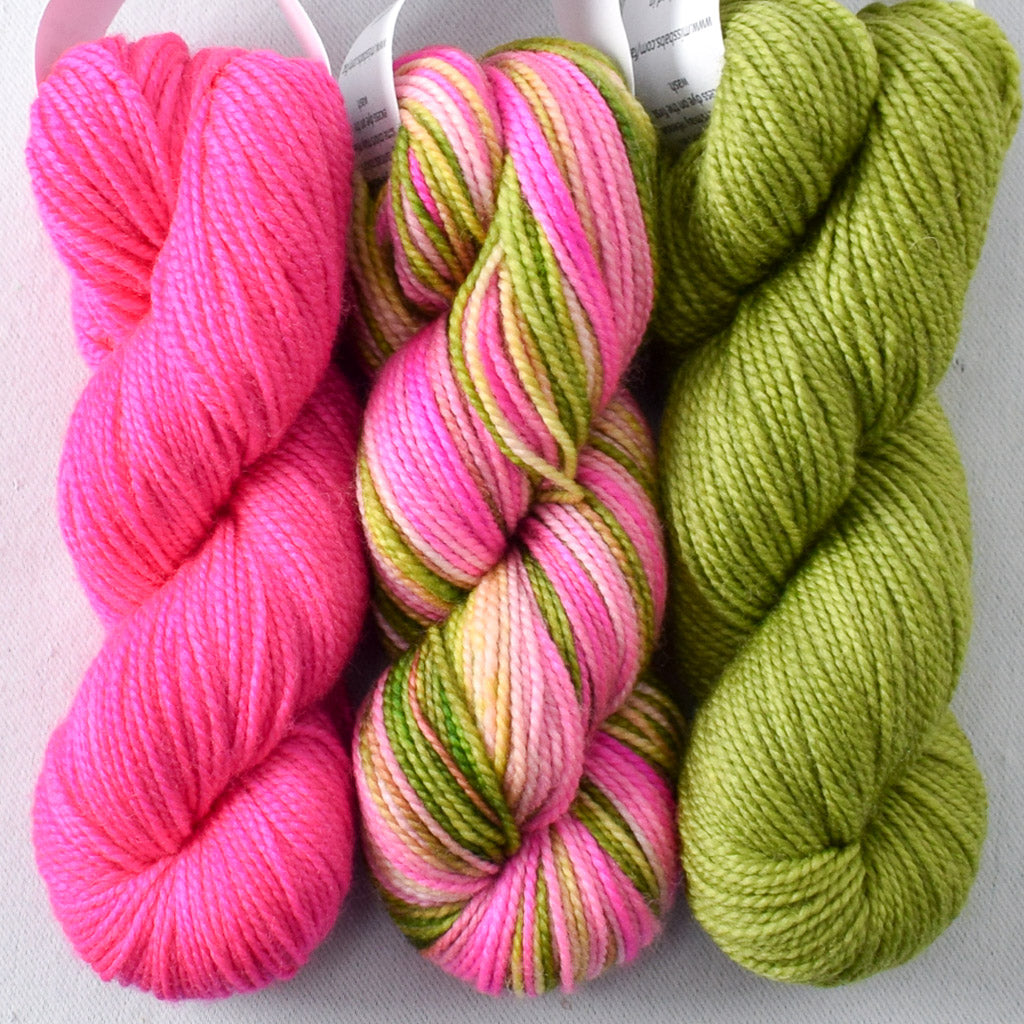 Drunken Watermelon, Muchness, Shamrock - Miss Babs Toe Trio