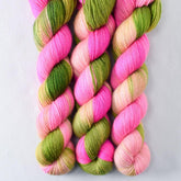 Drunken Watermelon - Miss Babs Katahdin 437 superwash BFL wool yarn