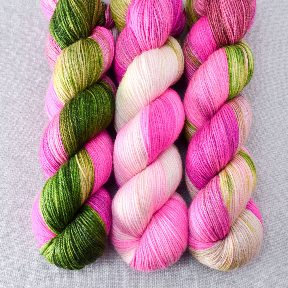 Drunken Watermelon - Miss Babs Tarte wool blend sock yarn