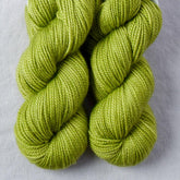 Duckfoot - Miss Babs Yummy 2-Ply Toes superwash Merino wool yarn