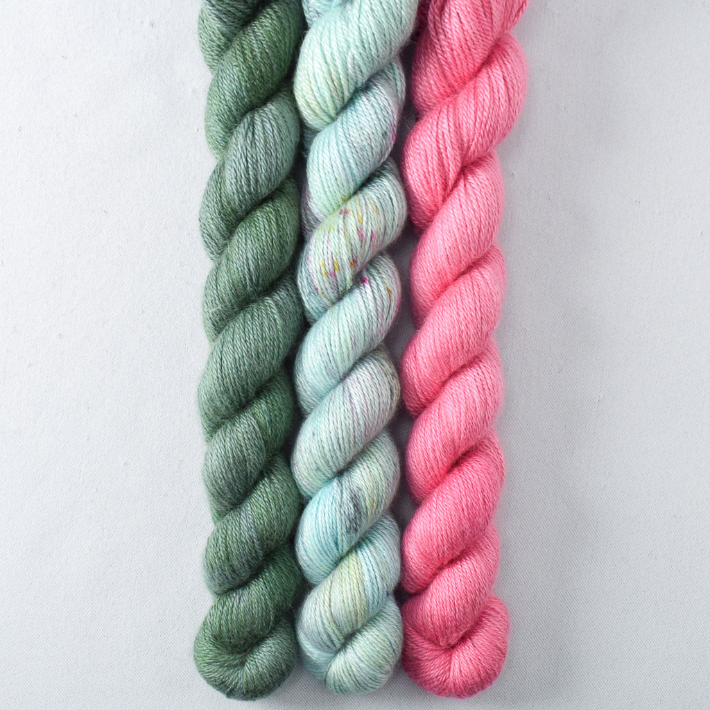 Dunk, Kitesurfing, Sweet Pea - Miss Babs Sojourn Trio