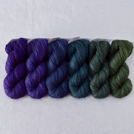 Dutch Iris 1 - Miss Babs Gradient Set