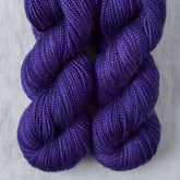 Dutch Iris 2 - Miss Babs Yummy 2-Ply Toes superwash Merino wool yarn