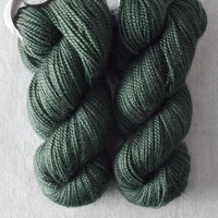 Dutch Iris 5 - Miss Babs 2-Ply Toes yarn