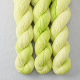 Envy Me - Miss Babs Yummy 2-Ply superwash Merino wool yarn