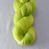 Envy Me - Miss Babs Katahdin yarn