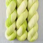 Envy Me - Miss Babs Putnam Merino wool and nylon sock yarn