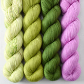 Ergosphere, Herbalist, Hops, Wandflower - Miss Babs Avon Quartet