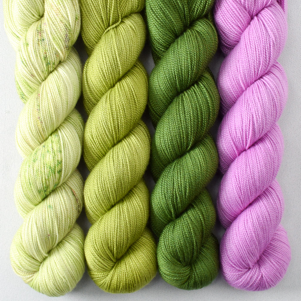 Ergosphere, Herbalist, Hops, Wandflower - Miss Babs Avon Quartet