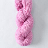 Espinosa - Miss Babs Yummy 2-Ply Toes superwash Merino wool yarn