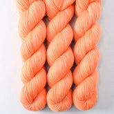 Ex Parrot - Miss Babs Yummy 2-Ply superwash Merino wool yarn