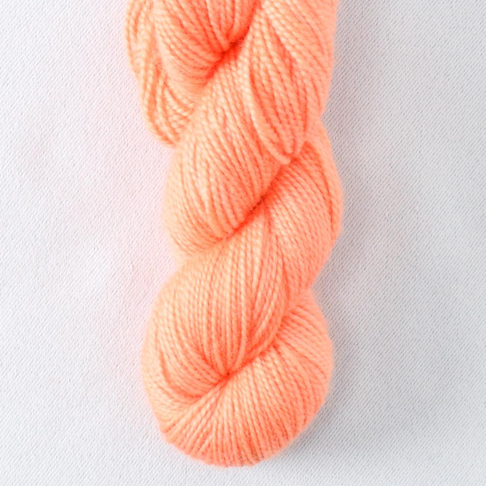 Ex Parrot - Miss Babs Yummy 2-Ply Toes superwash Merino wool yarn