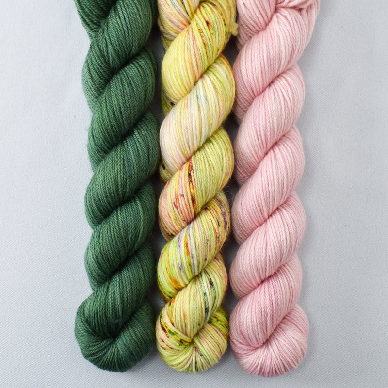 Exuberance, Giant Sequoia, Sugar - Miss Babs Yowza Mini Trio