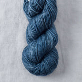 Family - Miss Babs Yummy 2-Ply Toes superwash Merino wool yarn