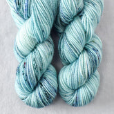 Fiberworld 2020 - Miss Babs Yummy 2-Ply Toes superwash Merino wool yarn