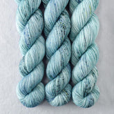 Fiberworld 2020 - Miss Babs Estrellita fingering weight superwash merino and Lurex yarn