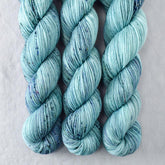 Fiberworld 2020 - Miss Babs Putnam Merino wool and nylon sock yarn