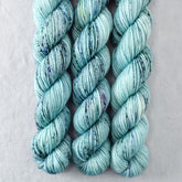Fiberworld 2020 - Miss Babs Yowza Mini superwash Merino wool yarn